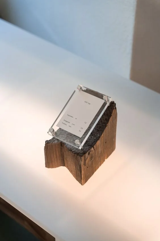Pieza de arte única fabricada a medida con grabado láser y fabricación aditiva